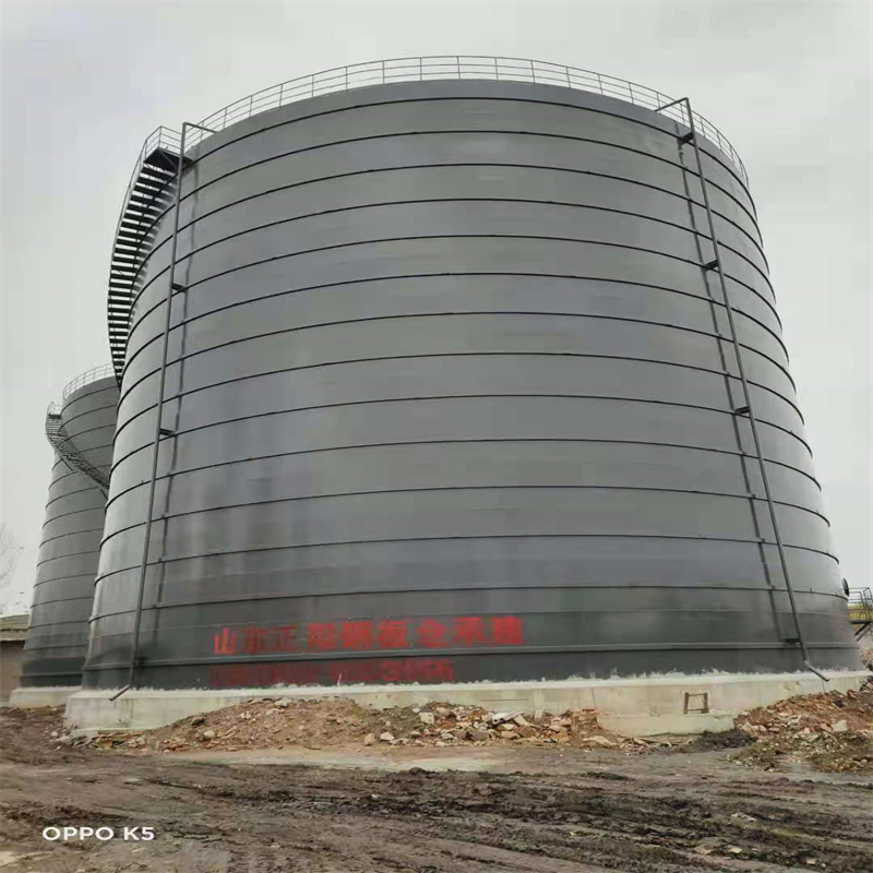 临翔3万吨大型钢板库