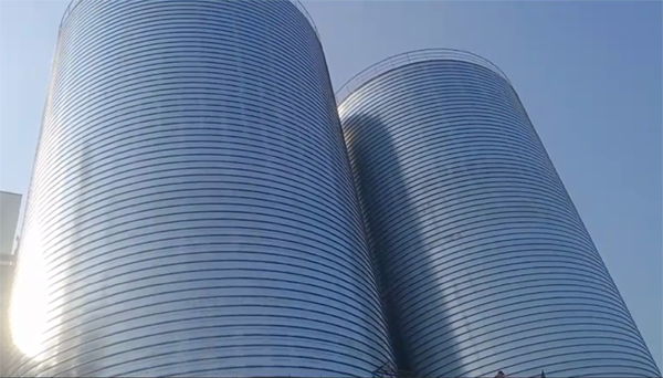 临翔2座混凝土高架卷板仓